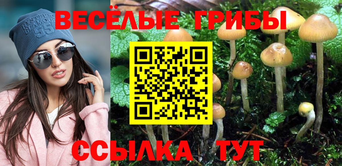 продажа наркотиков  Псилоцибиновые грибы Magic Shrooms  Вход с VPN  Гурьевск 