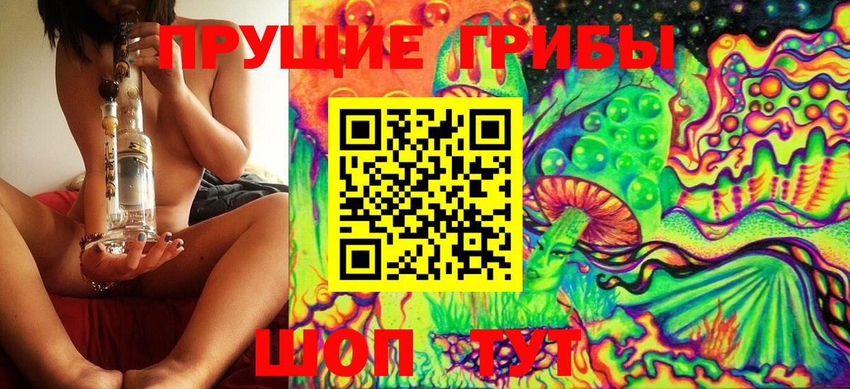 Галлюциногенные грибы Magic Shrooms Гурьевск